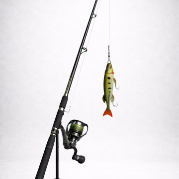Location Canne à lancer équipée avec leurre (brochet)